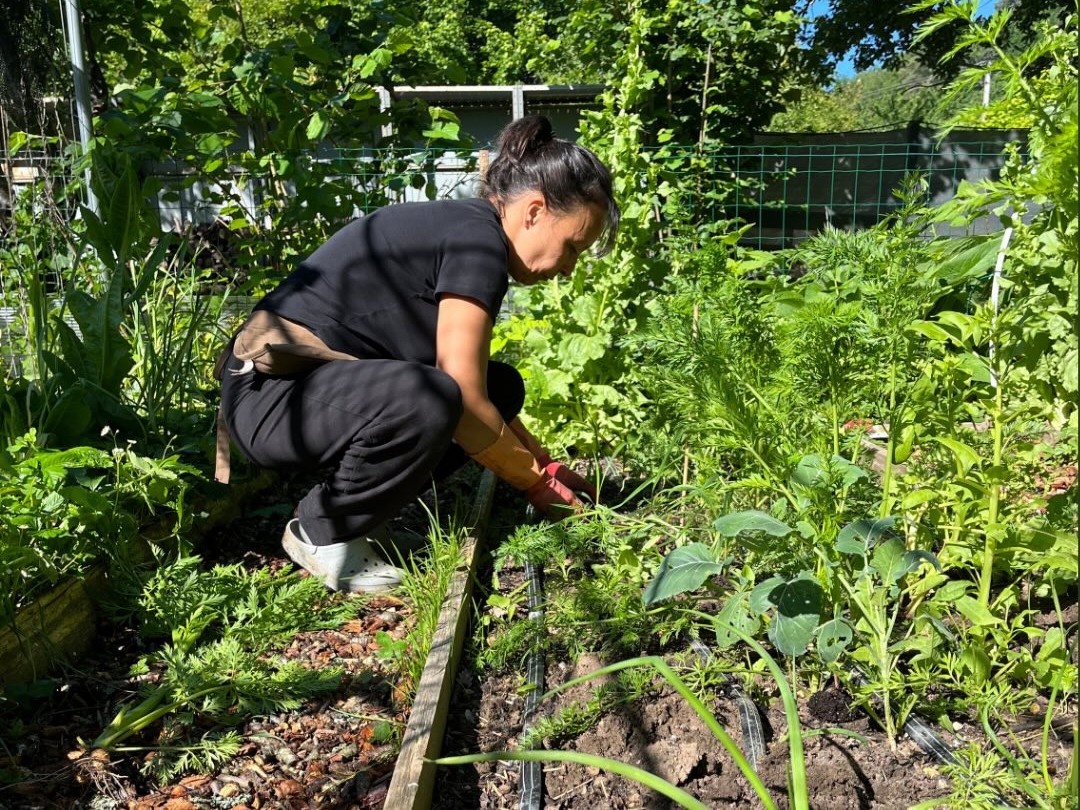África au travail dans le potager NosVers