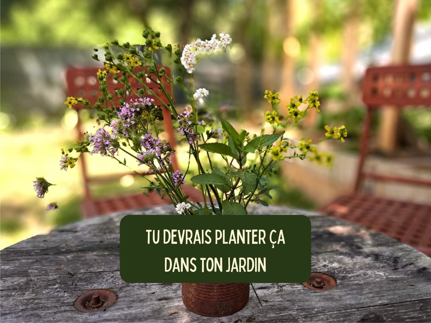 Visuel d’un conseil de jardinage publié par NosVers