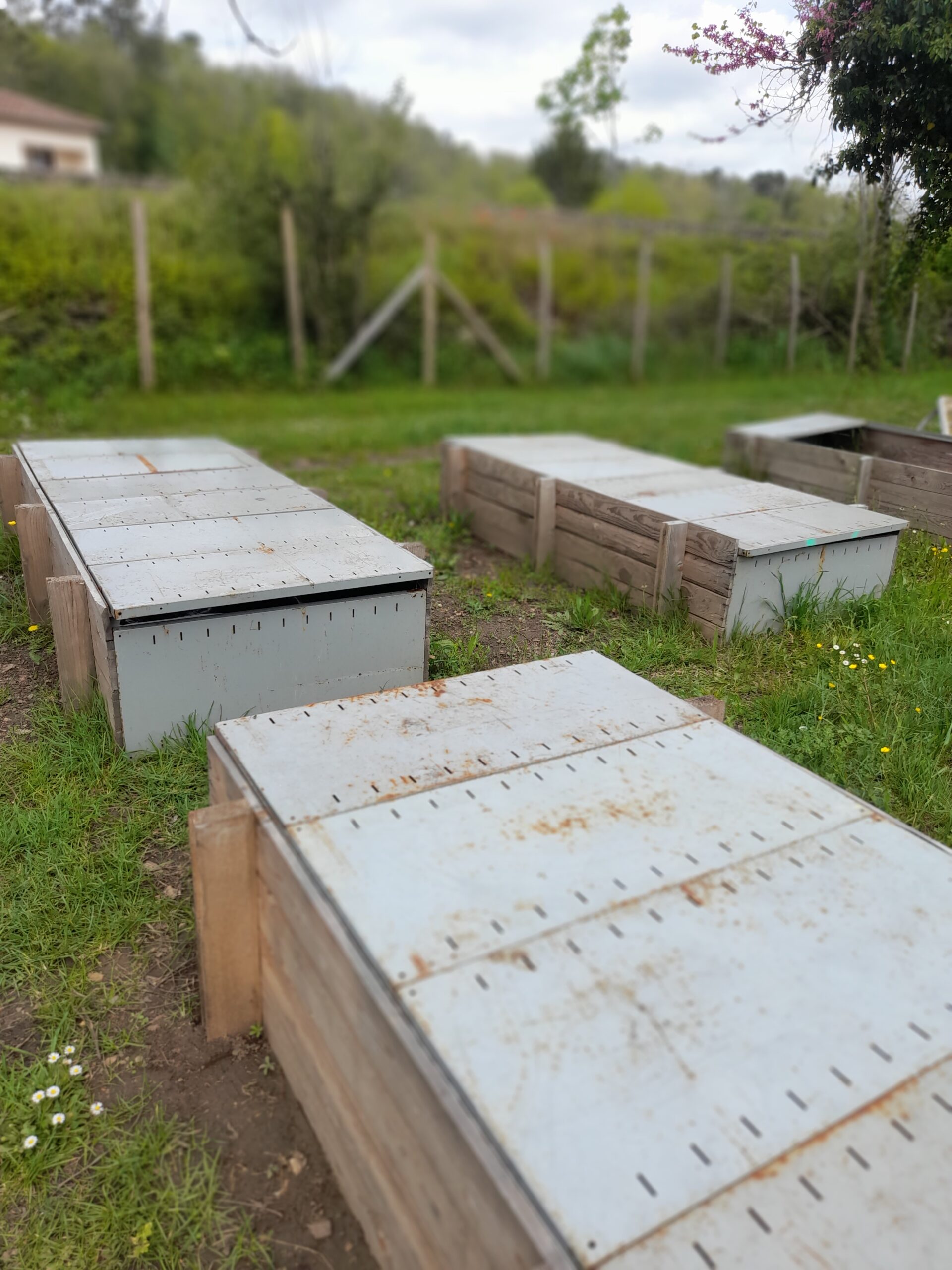 Bacs de culture NosVers