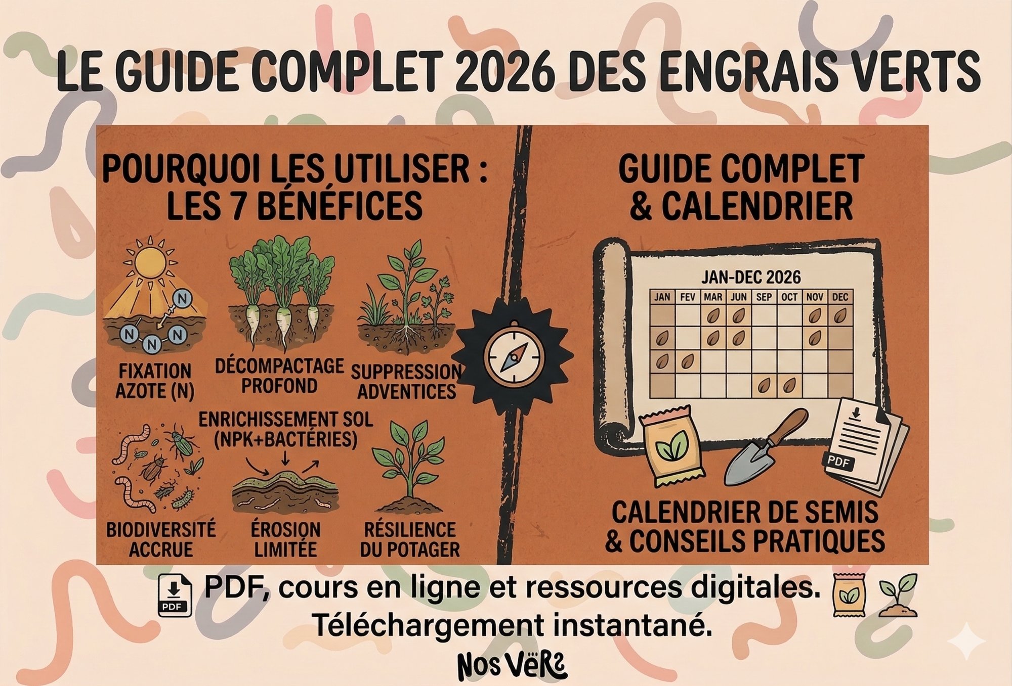 Engrais Vert au Potager — Guide Complet 2026