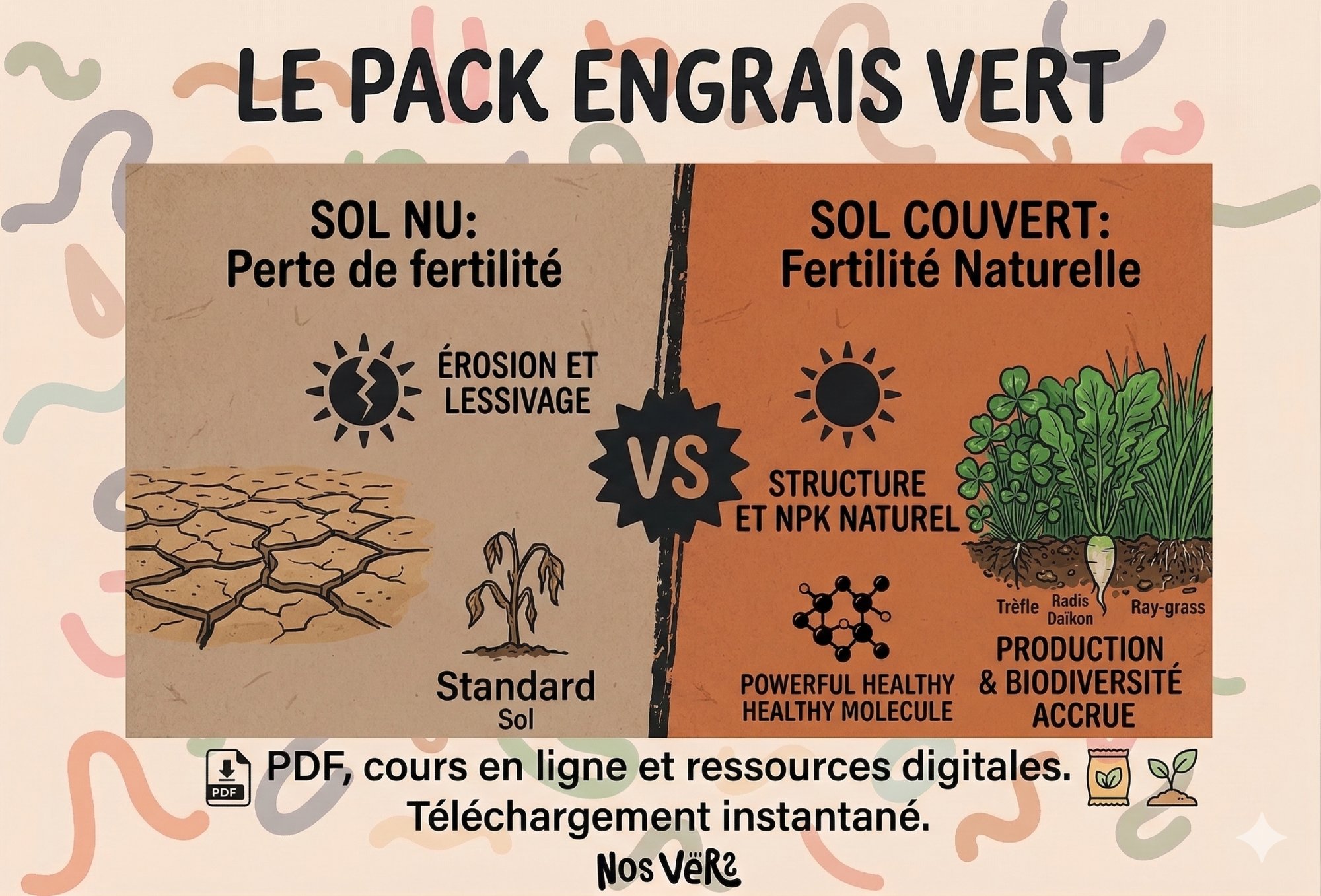 Engrais Vert : Nourrissez votre Sol