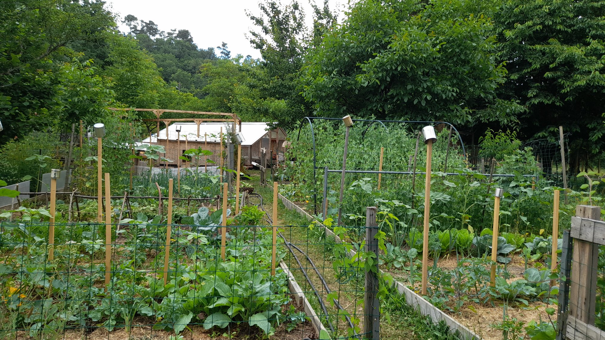 Potager NosVers Dordogne