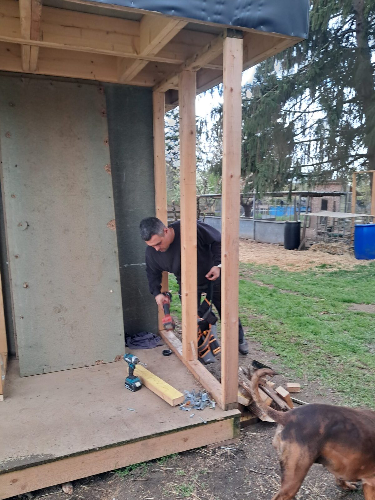 Angel construisant la ferme