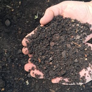 Lombricompost tamisé dans la main — produit fini