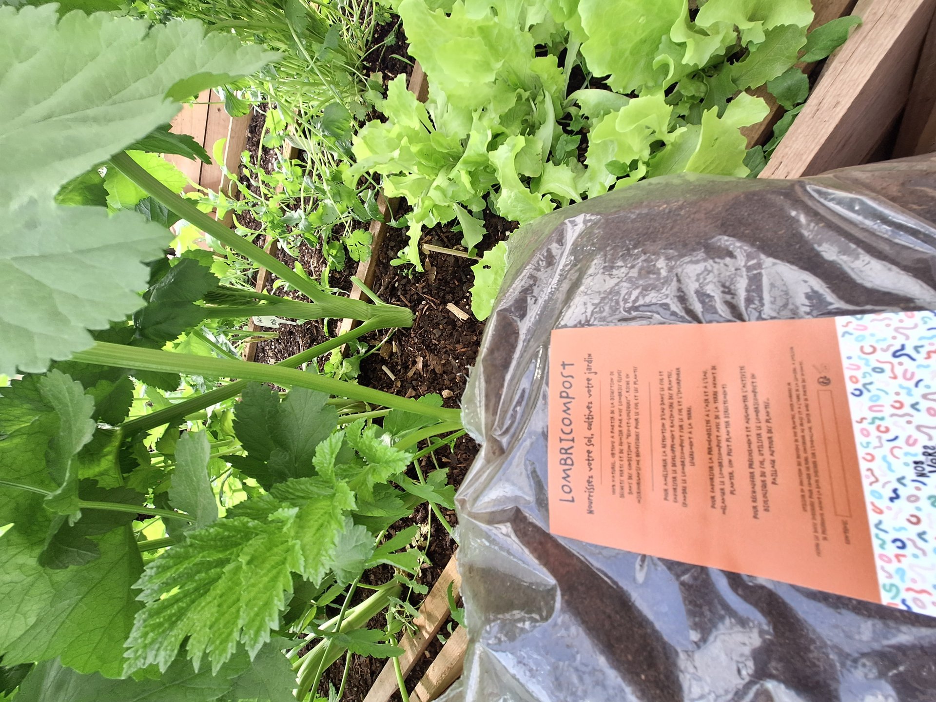 Lombricompost NosVers